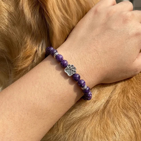 Pulsera Nebula